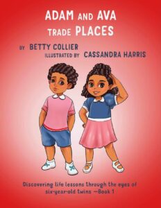 Adam and Ava Trade Places cover