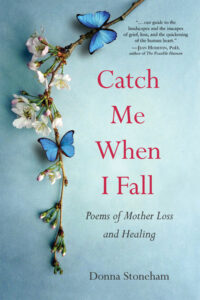 Catch Me When I Fall cover