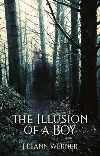 The Illusion of a Boy book cover