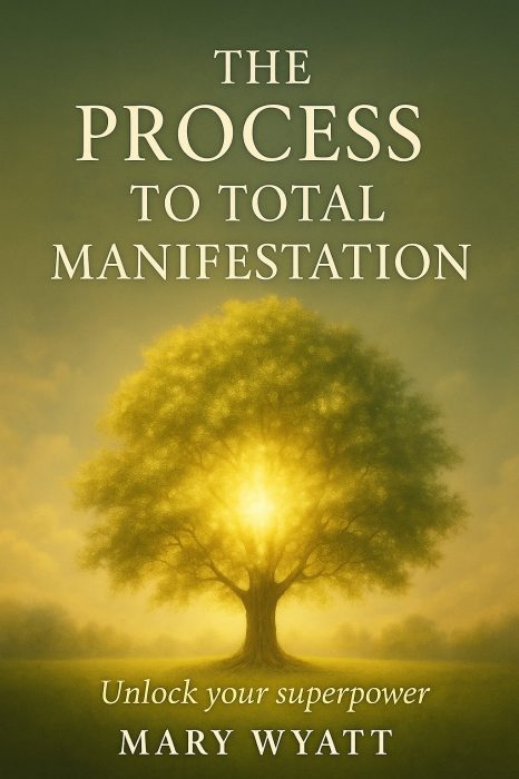 The_Process_to_Total_Manifestation_Compressed.jpg