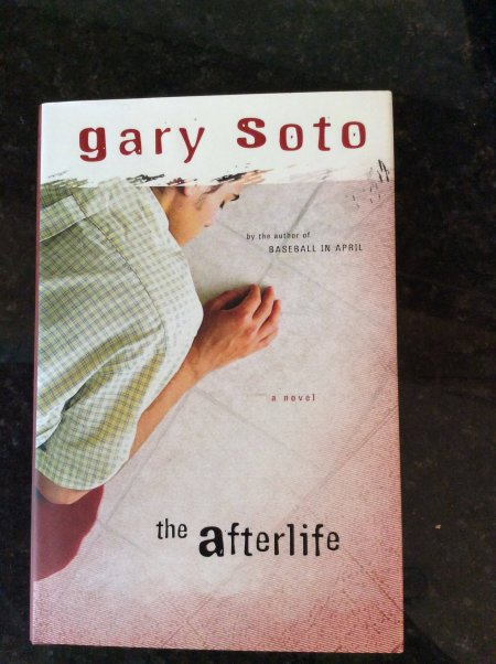 the-afterlife-bookcover